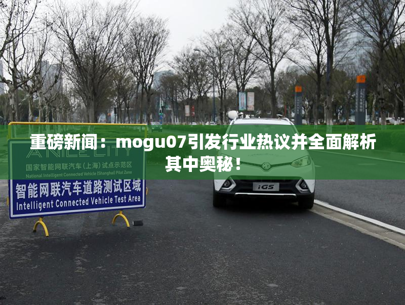重磅新闻：mogu07引发行业热议并全面解析其中奥秘！