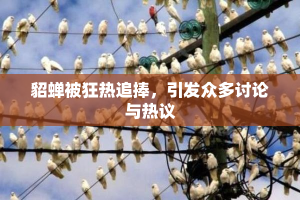 貂蝉被狂热追捧，引发众多讨论与热议