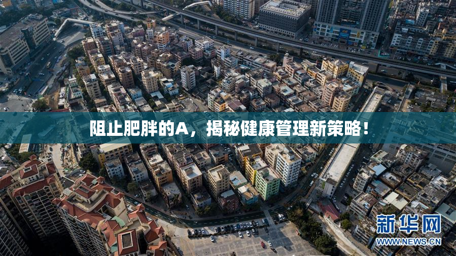 阻止肥胖的A，揭秘健康管理新策略！