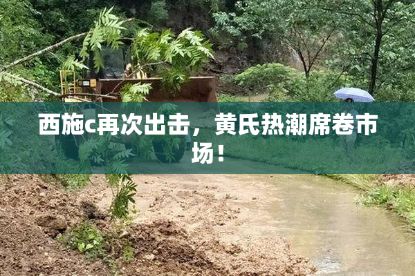 西施c再次出击，黄氏热潮席卷市场！