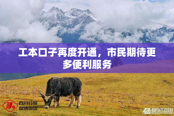 工本口子再度开通，市民期待更多便利服务
