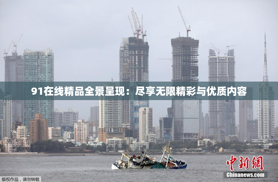 91在线精品全景呈现：尽享无限精彩与优质内容