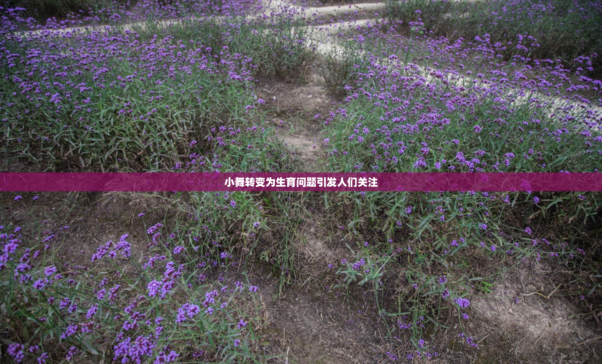 小舞转变为生育问题引发人们关注