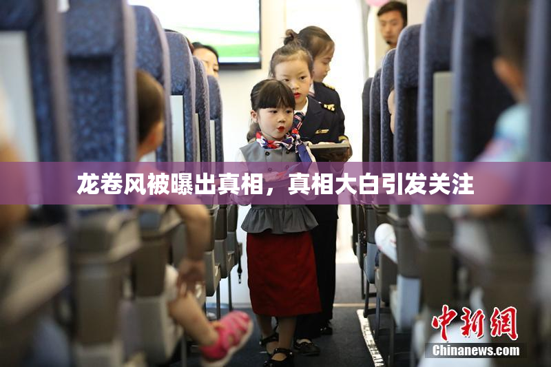 龙卷风被曝出真相，真相大白引发关注
