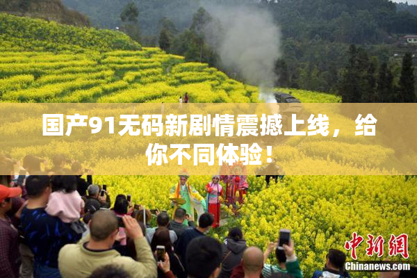 国产91无码新剧情震撼上线，给你不同体验！