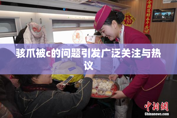 骇爪被c的问题引发广泛关注与热议