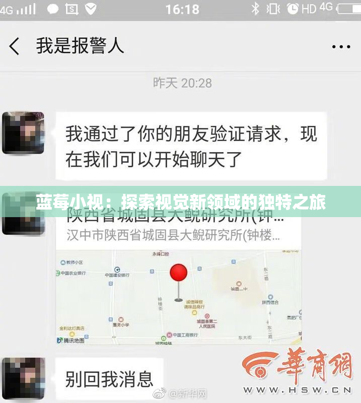 蓝莓小视：探索视觉新领域的独特之旅