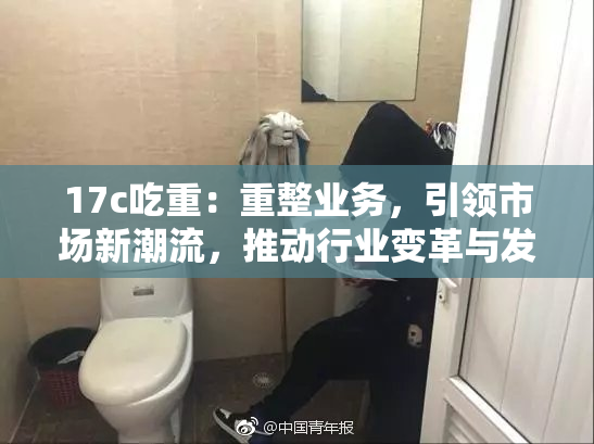 17c吃重：重整业务，引领市场新潮流，推动行业变革与发展