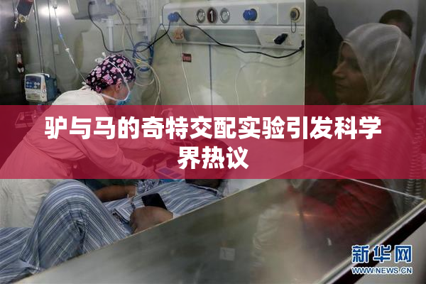 驴与马的奇特交配实验引发科学界热议