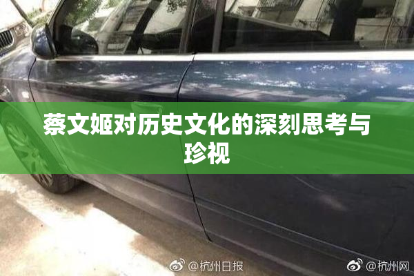 蔡文姬对历史文化的深刻思考与珍视