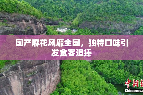 国产麻花风靡全国，独特口味引发食客追捧