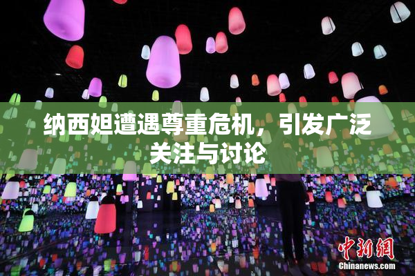 纳西妲遭遇尊重危机，引发广泛关注与讨论