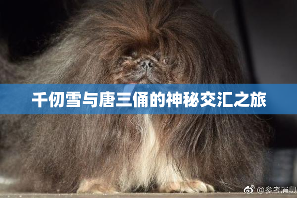 千仞雪与唐三俑的神秘交汇之旅