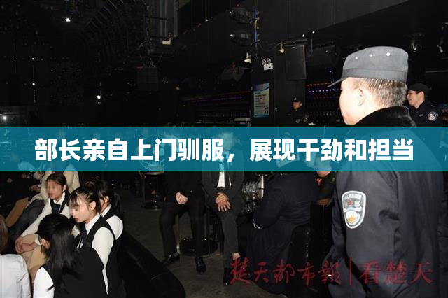 部长亲自上门驯服，展现干劲和担当