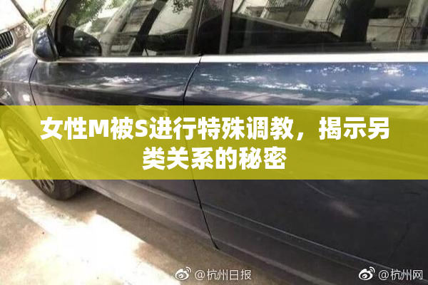 女性M被S进行特殊调教，揭示另类关系的秘密