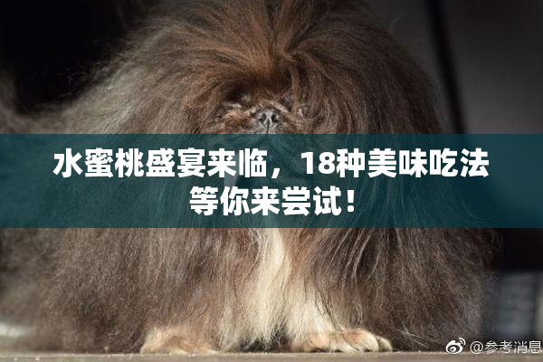 水蜜桃盛宴来临，18种美味吃法等你来尝试！