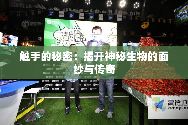 触手的秘密：揭开神秘生物的面纱与传奇