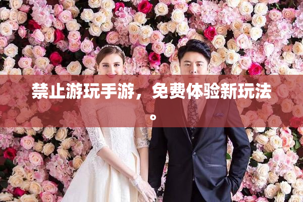 禁止游玩手游，免费体验新玩法。