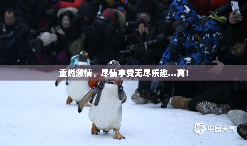 重燃激情，尽情享受无尽乐趣…高！