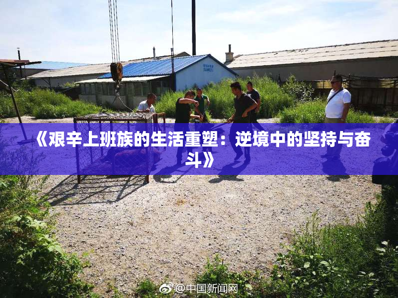 《艰辛上班族的生活重塑：逆境中的坚持与奋斗》
