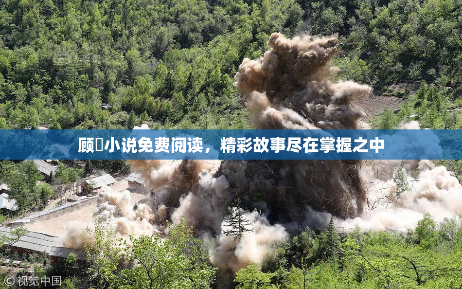 顾嫚小说免费阅读，精彩故事尽在掌握之中