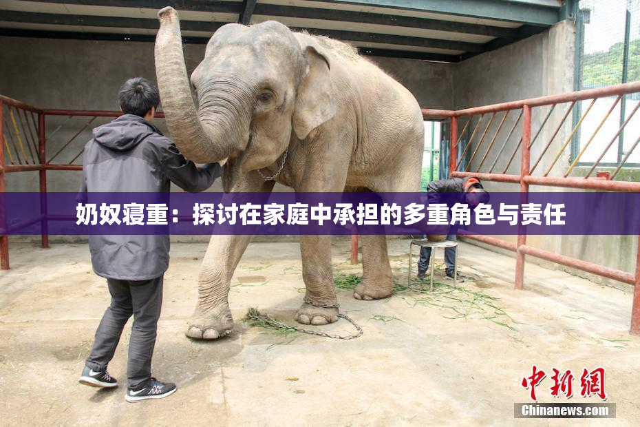 奶奴寝重：探讨在家庭中承担的多重角色与责任