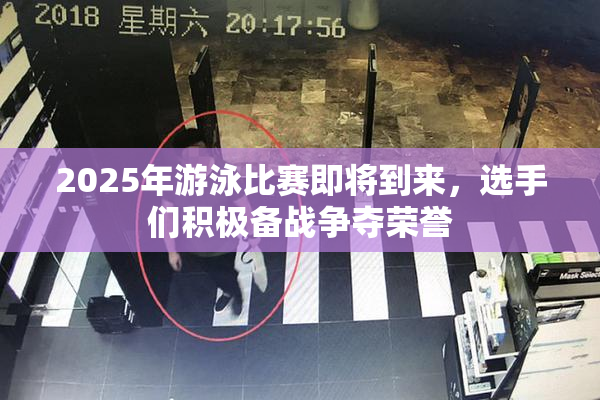 2025年游泳比赛即将到来，选手们积极备战争夺荣誉