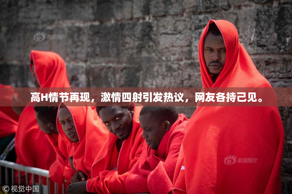 高H情节再现，激情四射引发热议，网友各持己见。