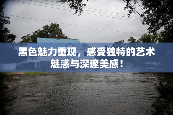 黑色魅力重现，感受独特的艺术魅惑与深邃美感！