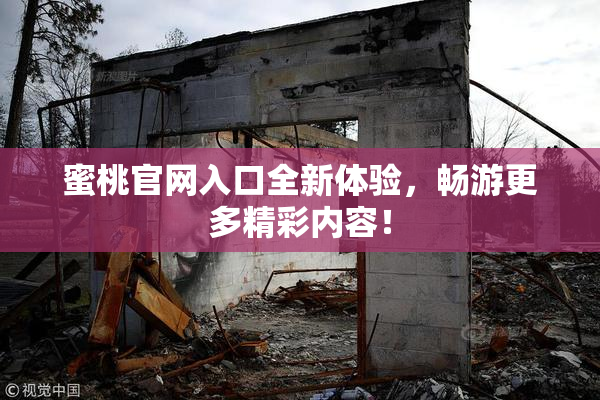 蜜桃官网入口全新体验，畅游更多精彩内容！