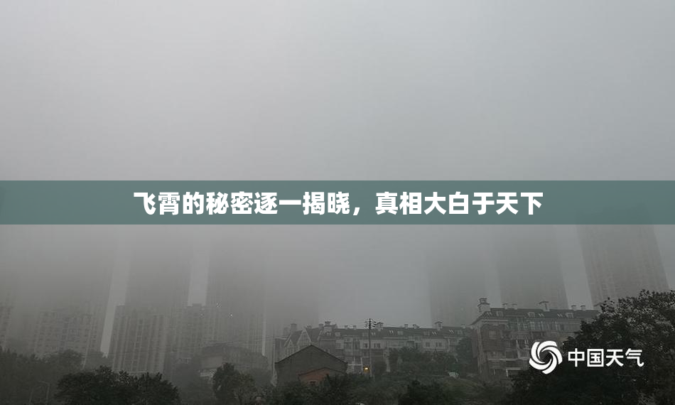 飞霄的秘密逐一揭晓，真相大白于天下