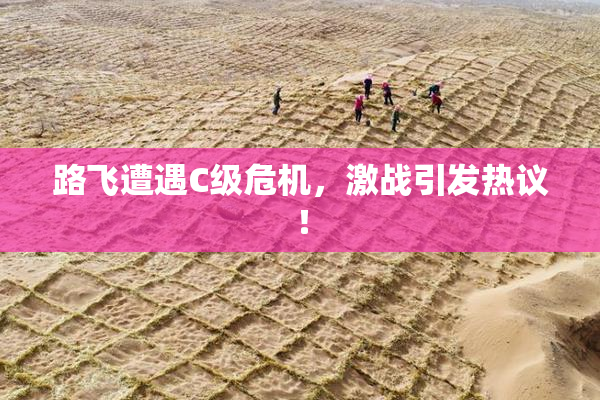 路飞遭遇C级危机，激战引发热议！