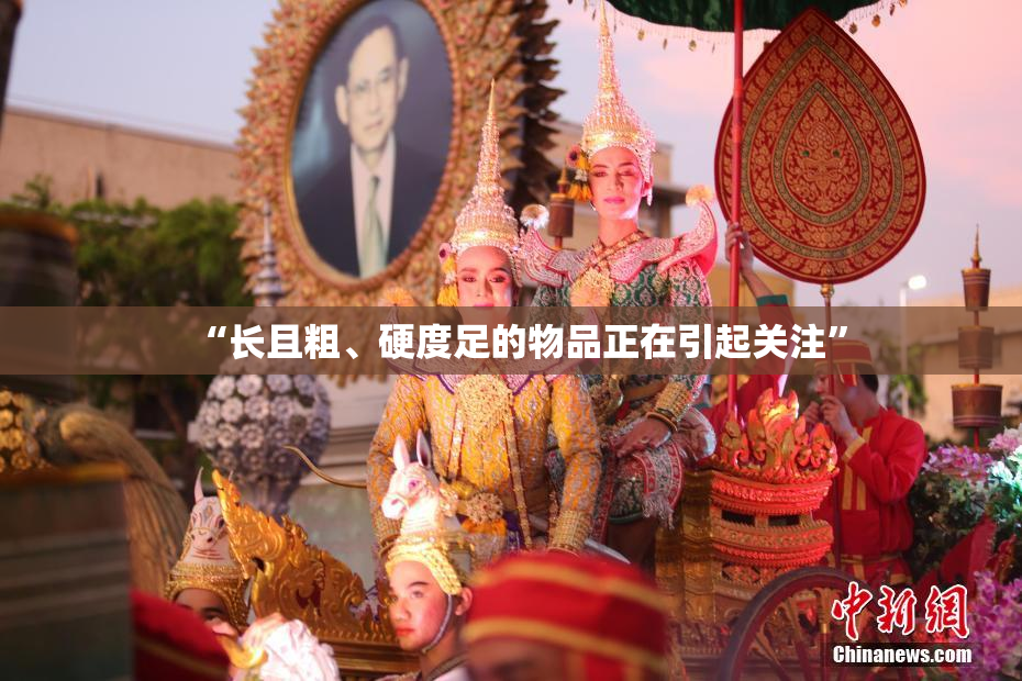 “长且粗、硬度足的物品正在引起关注”