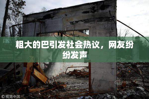 粗大的巴引发社会热议，网友纷纷发声