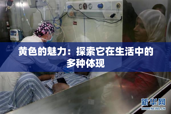 黄色的魅力：探索它在生活中的多种体现