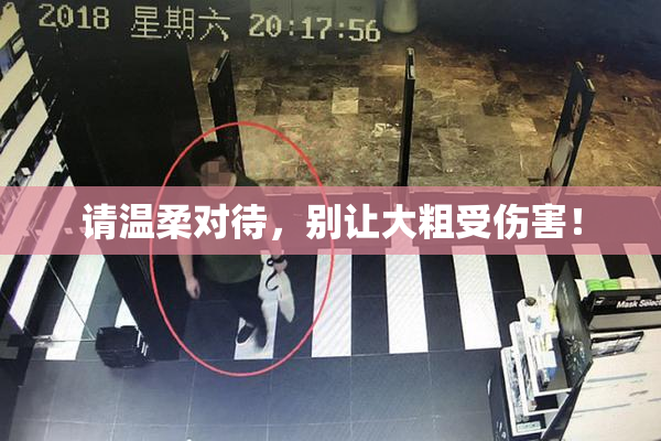 请温柔对待，别让大粗受伤害！