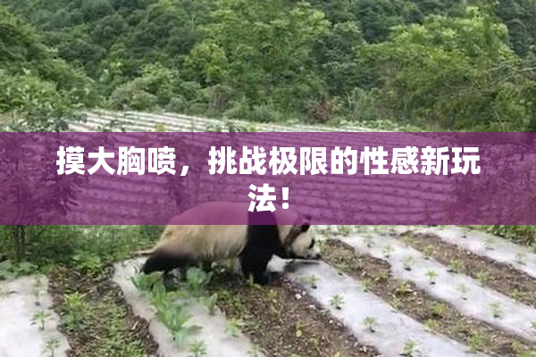 摸大胸喷，挑战极限的性感新玩法！