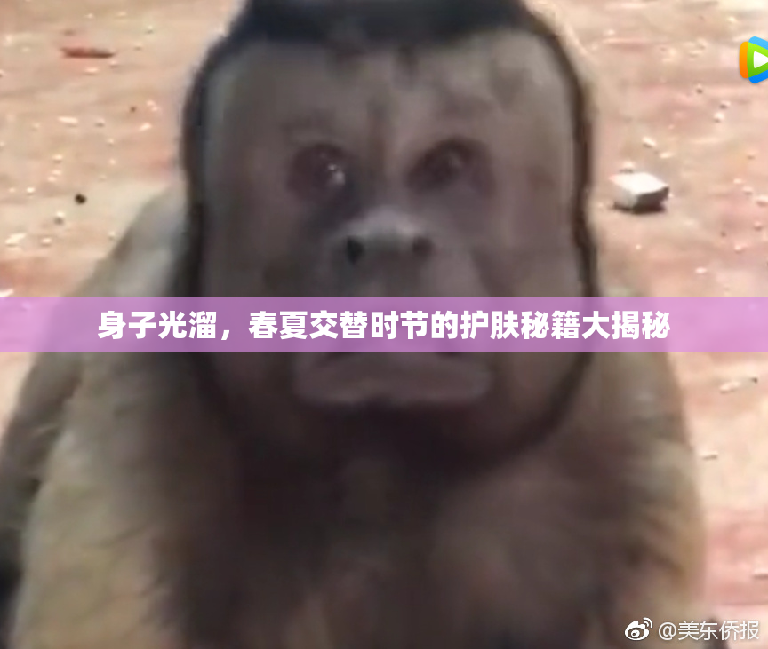 身子光溜，春夏交替时节的护肤秘籍大揭秘