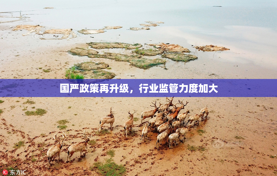 国严政策再升级，行业监管力度加大