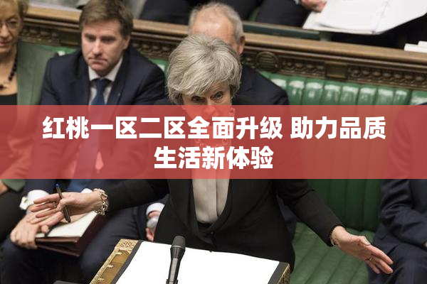 红桃一区二区全面升级 助力品质生活新体验