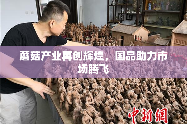 蘑菇产业再创辉煌，国品助力市场腾飞