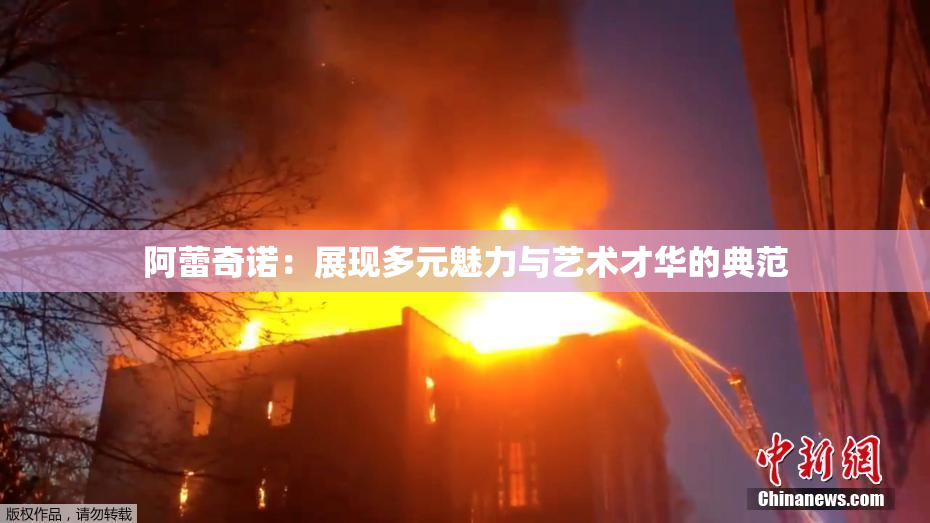 阿蕾奇诺：展现多元魅力与艺术才华的典范