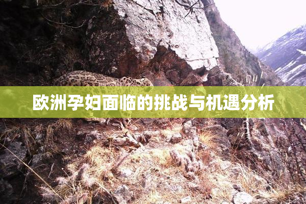 欧洲孕妇面临的挑战与机遇分析