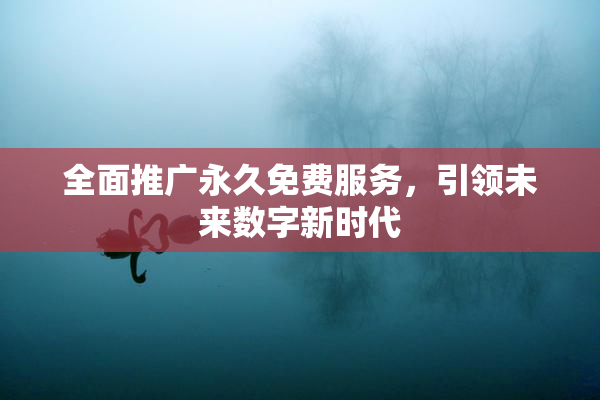 全面推广永久免费服务，引领未来数字新时代