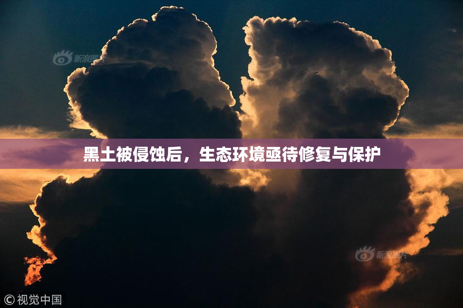 黑土被侵蚀后，生态环境亟待修复与保护