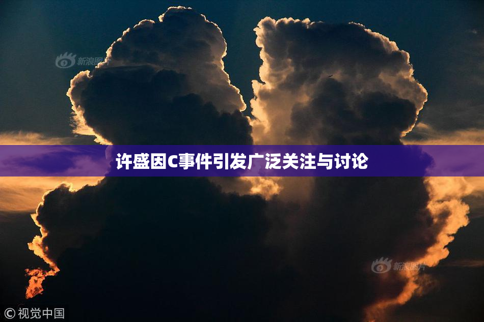 许盛因C事件引发广泛关注与讨论