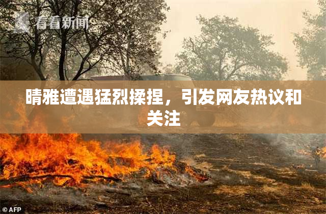晴雅遭遇猛烈揉捏，引发网友热议和关注