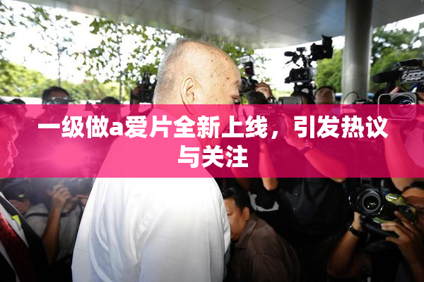 一级做a爱片全新上线，引发热议与关注