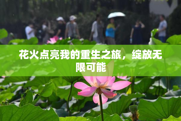 花火点亮我的重生之旅，绽放无限可能