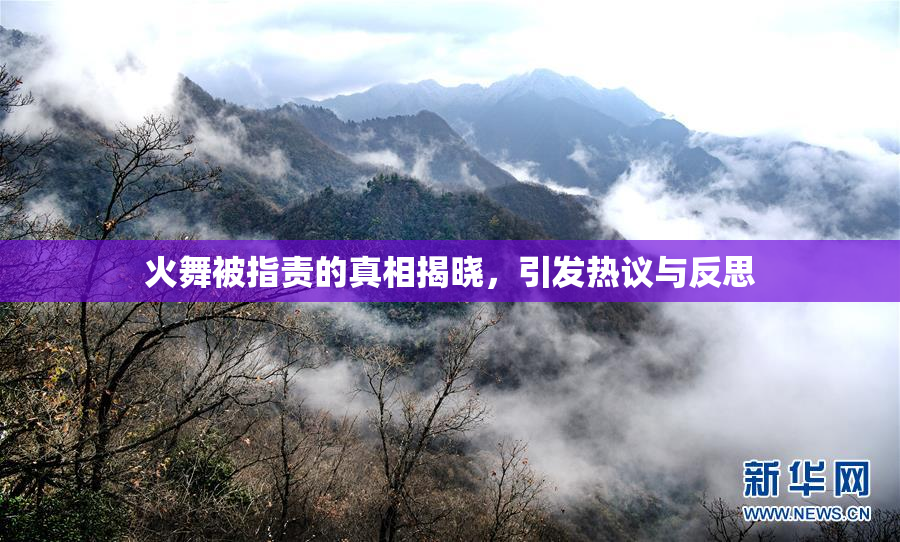 火舞被指责的真相揭晓，引发热议与反思
